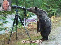 149 BIO PARC DE DOUE LA FONTAINE 7- 2016_000058